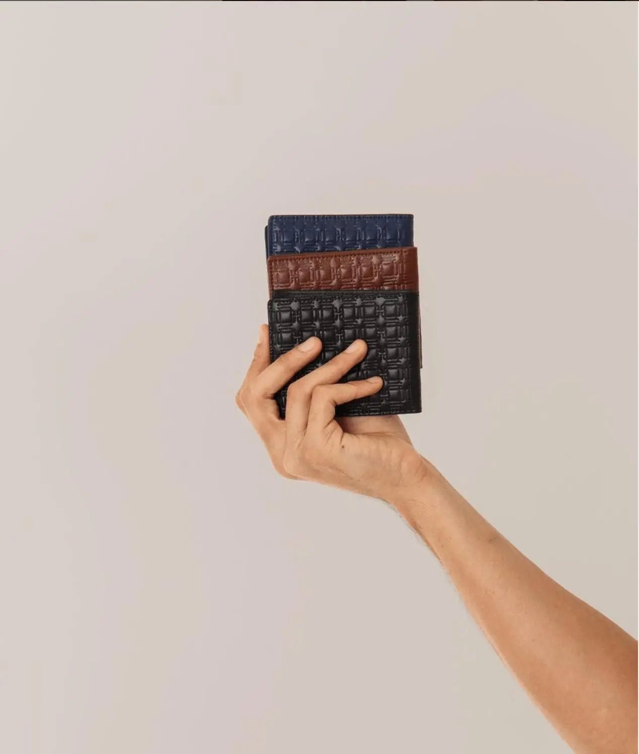 CARTERA INSIGNIA - Di Conza