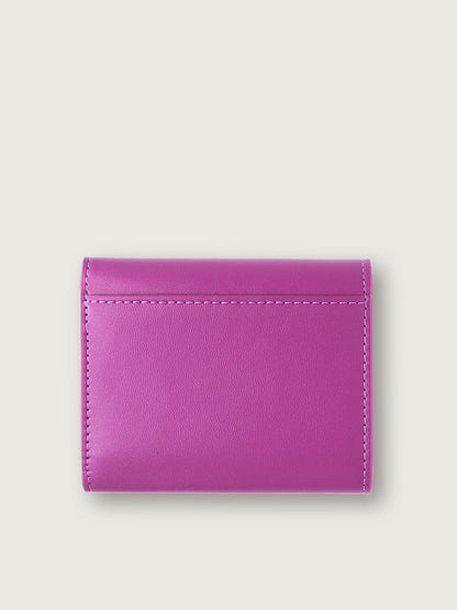 CARTERA CHIARA - Di Conza